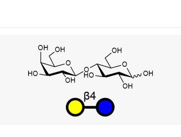 乳糖,Lactose(Galb1, 4Glc)