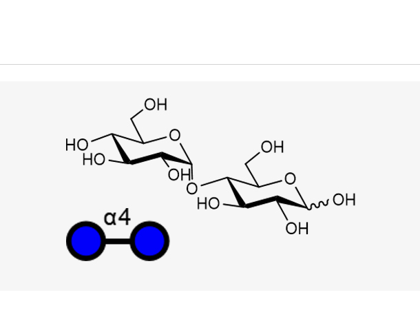 麦芽糖一水合物,Maltose(Glca1, 4Glc)