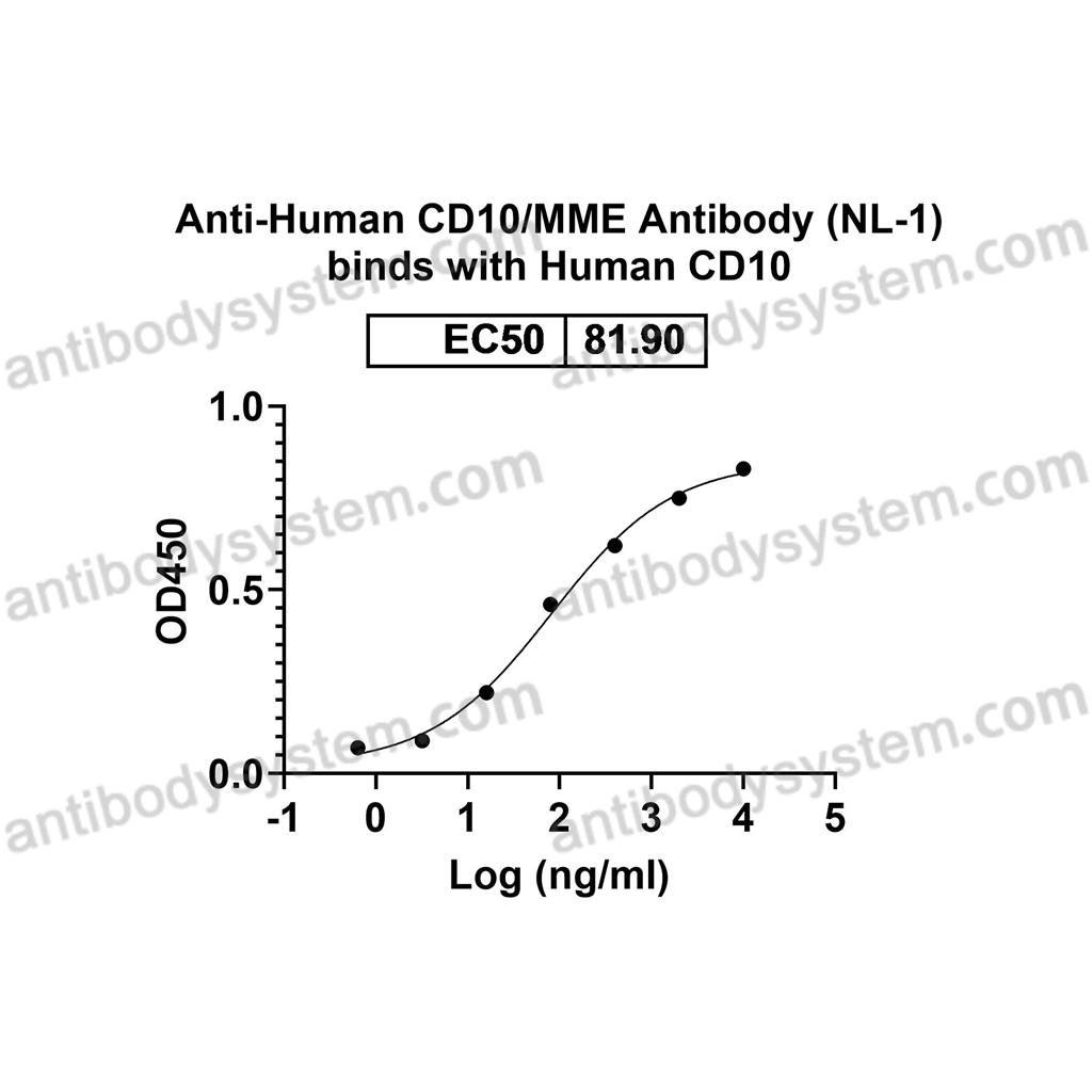 流式抗体：Human CD10/MME Antibody (NL-1) FHC33010,CD10/MME