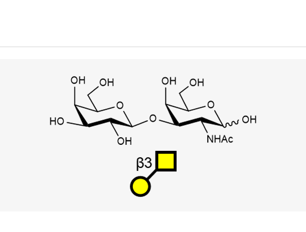 2-乙酰氨基-2-脫氧-3-O-(Β-D-吡喃半乳糖基)-D-吡喃半乳糖,Galacto-N-biose(GalNAca1, 3Gal)