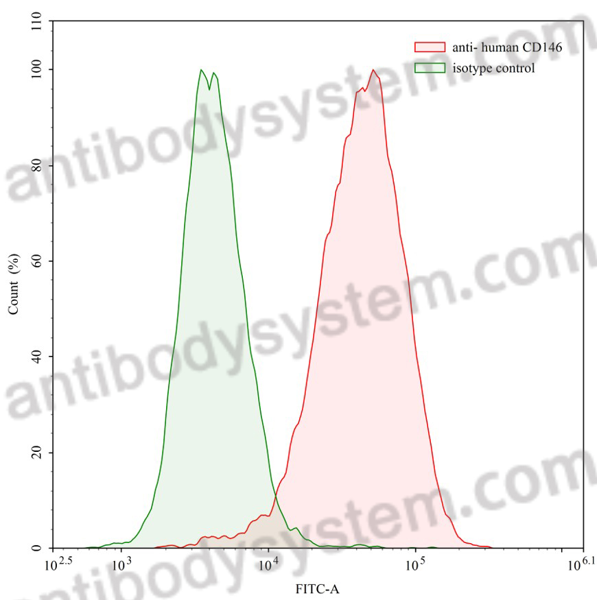 流式抗体：Human CD146/MCAM Antibody (SAA0060) FHE39720,CD146/MCAM