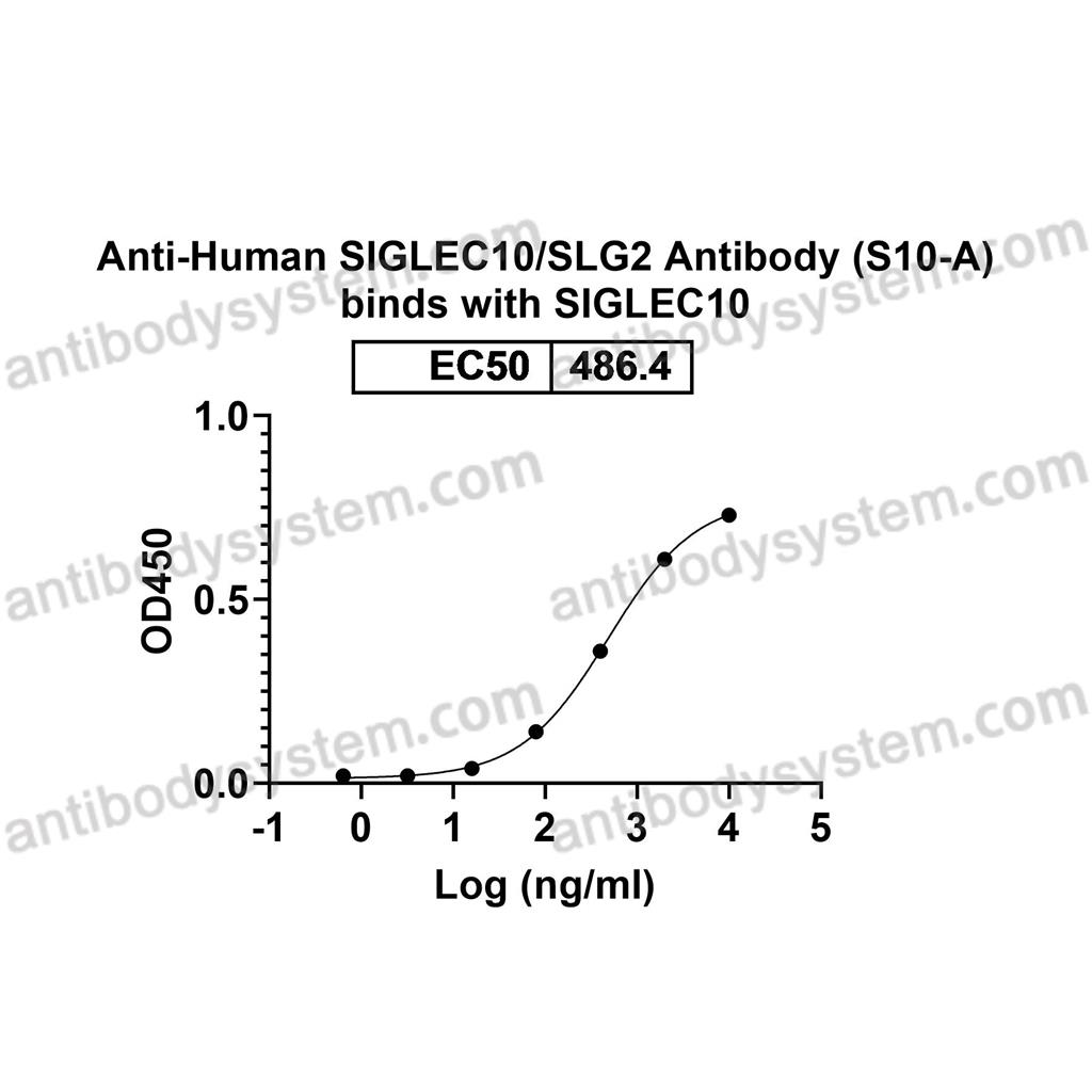 流式抗体：Human SIGLEC10/SLG2 Antibody (S10-A) FHJ40410,SIGLEC10/SLG2