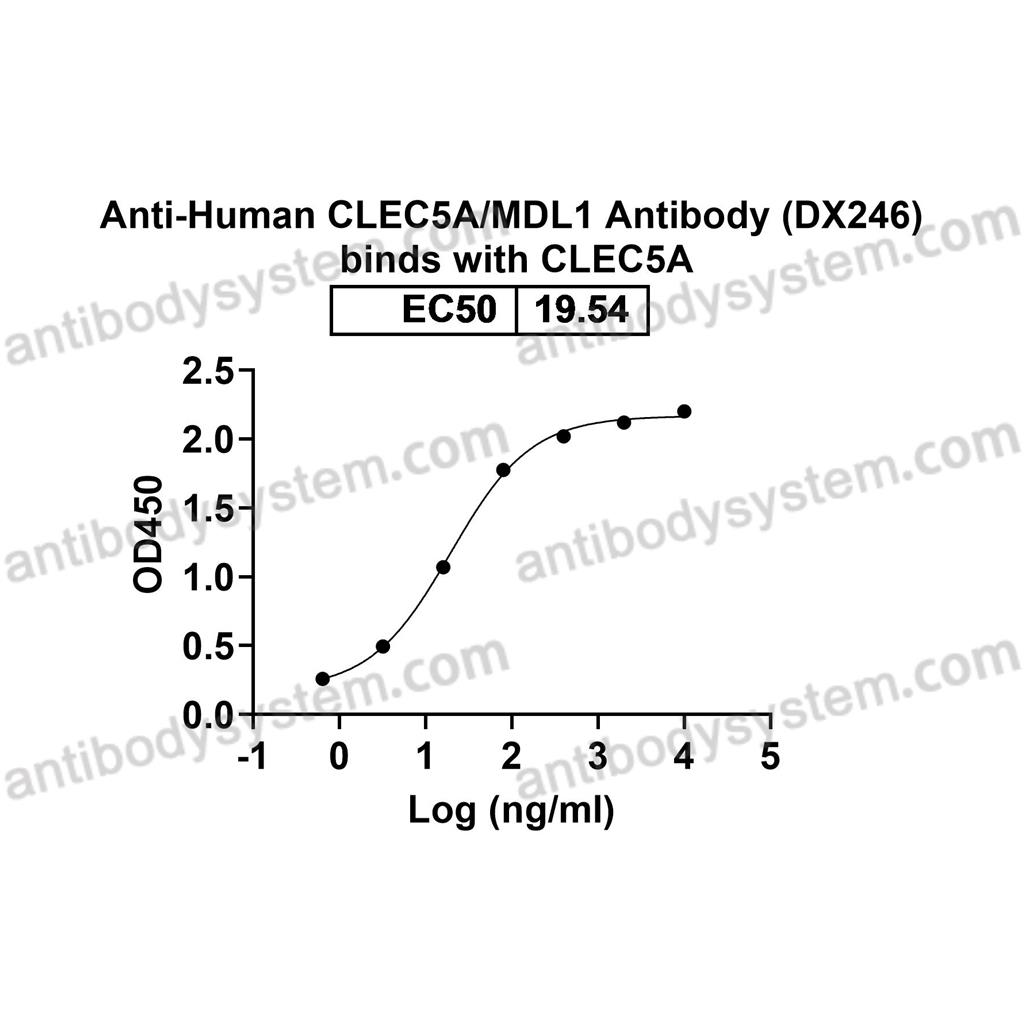 流式抗体：Human CLEC5A/MDL1 Antibody (DX246) FHK16010,CLEC5A/MDL1