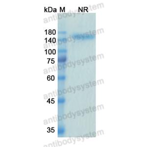 Research Grade Alacizumab  (DHE16603)
