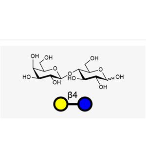 乳糖,Lactose(Galb1, 4Glc)