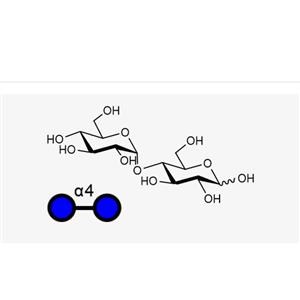 麦芽糖一水合物,Maltose(Glca1, 4Glc)