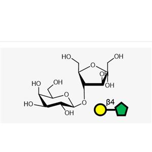 Lactulose(Galb1, 4Fru)