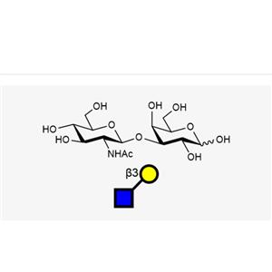 GlcNAcb1, 3Gal,GlcNAcb1, 3Gal