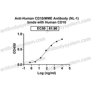 流式抗体：Human CD10/MME Antibody (NL-1) FHC33010,CD10/MME