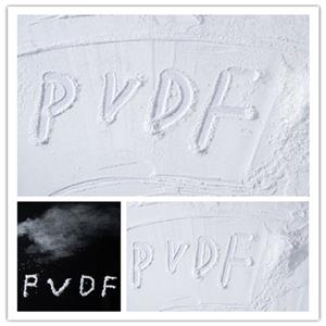 PVDF细粉,PVDF Powder