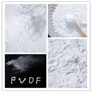 PVDF细粉,PVDF Powder