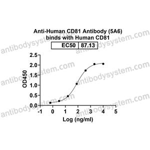 Anti-Human CD81 Antibody (5A6) (FHF34010)