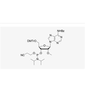 DMT-2'-OMe-A(Bz)-CE-Phosphoramidite