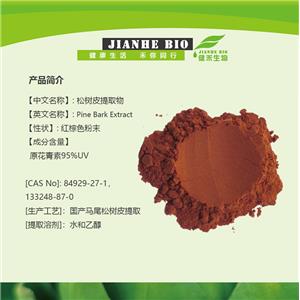 松樹皮提取物,Pine Bark Extract