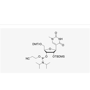 DMT-2'-O-TBDMS-N1-Me-Pseudouridine-CE