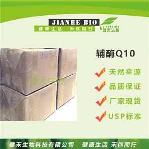 輔酶Q10,Coenzyme Q10