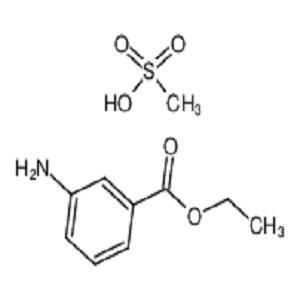 3-氨基苯甲酸乙酯甲基磺酸盐|三卡因|鱼安定