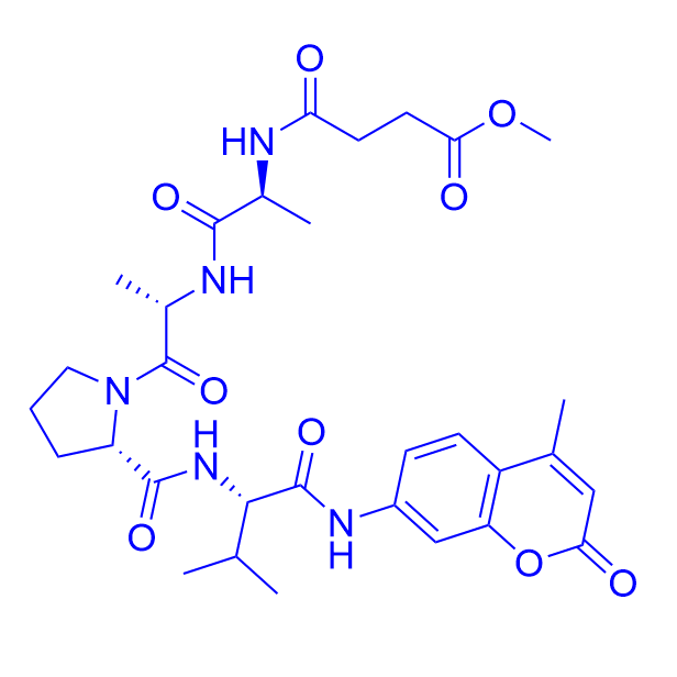 N-甲氧琥珀酰基-丙氨酰-丙氨酰-脯氨酰-缬氨酸-7-氨基-4-甲基香豆素,MeOSuc-Ala-Ala-Pro-Val-AMC