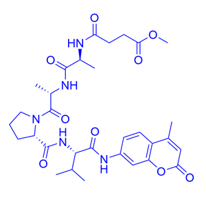N-甲氧琥珀酰基-丙氨酰-丙氨酰-脯氨酰-缬氨酸-7-氨基-4-甲基香豆素/72252-90-5/MeOSuc-Ala-Ala-Pro-Val-AMC