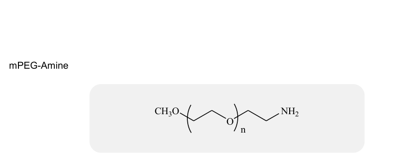 甲氧基聚乙二醇-胺,mPEG-Amine/Methoxy PEG-Amine