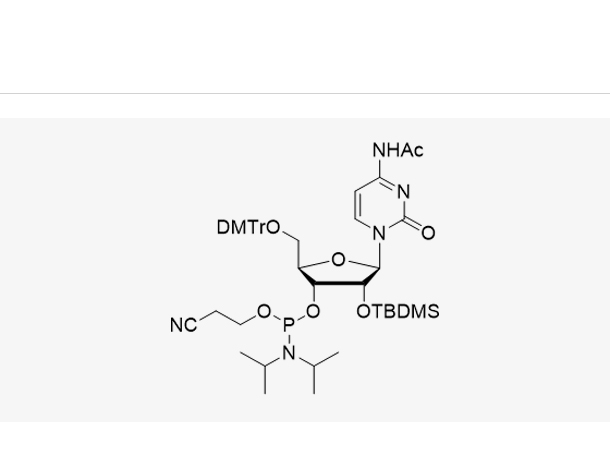 DMT-2'-O-TBDMS-C(Ac)-CE-Phosphoramidite,DMT-2'-O-TBDMS-C(Ac)-CE-Phosphoramidite