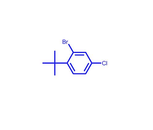 2-溴-1-(叔丁基)-4-氯苯,2-Bromo-1-(tert-butyl)-4-chlorobenzene