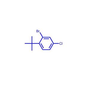 2-溴-1-(叔丁基)-4-氯苯369776-71-5