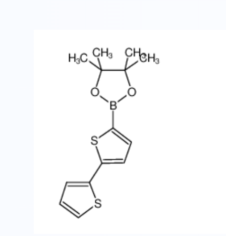 2,2'-联噻吩-5-硼酸频哪醇酯,2,2'-Bithiophene-5-boronic Acid Pinacol Ester