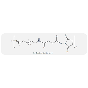 4臂聚乙二醇-酰亚胺-琥珀酰亚胺基琥珀酸酯,4-arm PEG-armide Succinimidyl Succinate