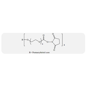 4臂聚乙二醇 琥珀酰亚胺基碳酸酯,4- arm PEG SuccinimidyI Carbonate