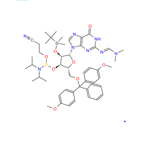 RNA “G” 亚磷酰胺
