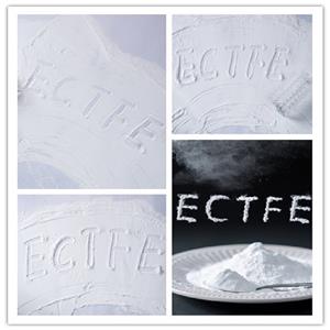 ECTFE 噴涂粉,ECTFE