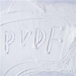 PVDF 超微粉 99% 白色粉末 良好的耐化学腐蚀性 耐高温性