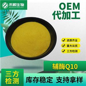 輔酶Q10,COENZYME Q10