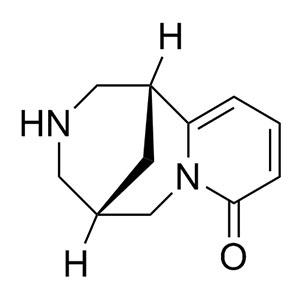 金雀花碱 有机合成 485-35-8