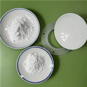 PVDF 微粉,PVDF micropowder