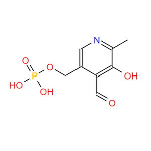 磷酸吡哆醛,Pyridoxal phosphate