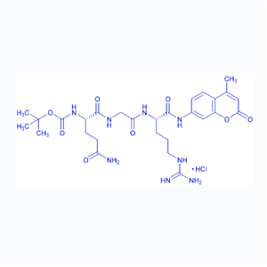 荧光底物多肽Boc-GGR-AMC/133448-21-2/Boc-Gln-Gly-Arg-AMC·HCl