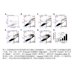 BSA偶聯(lián)棕櫚酸鈉溶液（常溫?zé)o析出、常溫?zé)o沉淀、無需加熱助溶、直接使用、100%濃度準(zhǔn)確）,BSA-palmitate