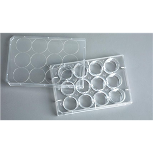 Ultra-Low Binding超低吸附12孔細(xì)胞培養(yǎng)板（NBH1112）,Ultra-low adsorption 12-well cell culture plates