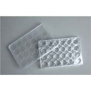 Ultra-Low Binding超低吸附24孔細胞培養(yǎng)板（NBH1124）,Ultra-low adsorption 24-well cell culture plates