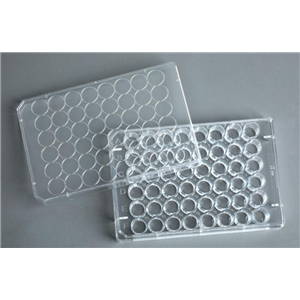 Ultra-Low Binding超低吸附48孔細(xì)胞培養(yǎng)板（NBH1148）,Ultra-low adsorption 48-well cell culture plates