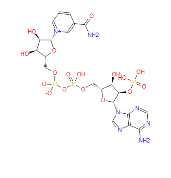 烟酰胺腺嘌呤双核苷酸磷酸盐；辅酶Ⅱ；β-烟酰胺腺嘌呤二核苷酸磷酸,Triphosphopyridine nucleotide