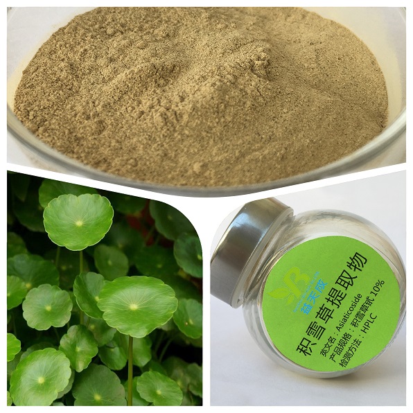 积雪草提取物,Hydrocotyle asiatica extract