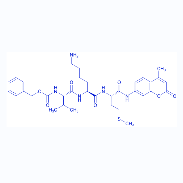 荧光蛋白酶体底物Z-VKM-AMC,Z-Val-Lys-Met-AMC