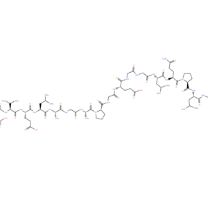 C肽,C-Peptide