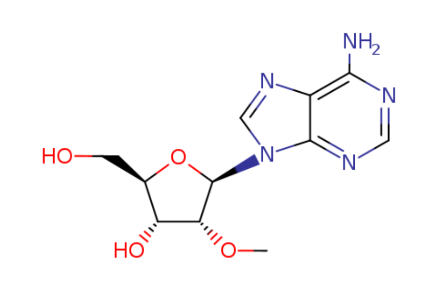 2'-O-Methyladenosine,2'-O-Methyladenosine