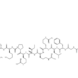 强啡肽A(猪),Dynorphin A