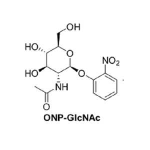2-硝基苯基-N-乙酰基-β-D-氨基葡萄糖,2-Nitrophenyl-N-acetyl-β-D-glucosaminide