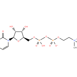 胞磷胆碱,CYTIDINE 5'-DIPHOSPHOCHOLINE